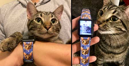 Custom pet art portrait Apple watch band,