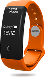 Intex ฟิตริสต์ พัลซ์-3